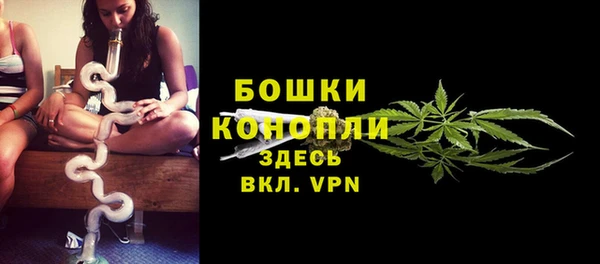 индика Зеленокумск