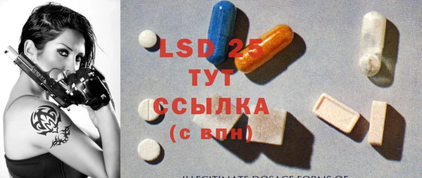 индика Зеленокумск