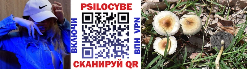 закладка  mega ссылка  Псилоцибиновые грибы мицелий  Сычёвка 